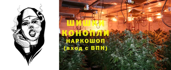 ECSTASY Дмитриев